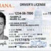 Buy USA driver license