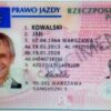 Buy polish driver license