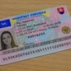 Slovakian Driving License